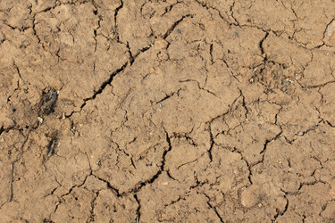 Similar image 2784011