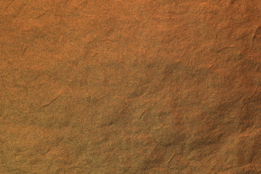 Similar image 2784022