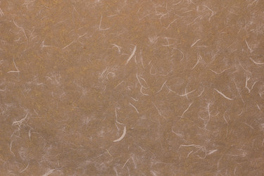 Similar image 2784028