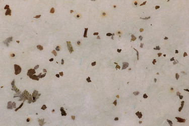 Similar image 2784031