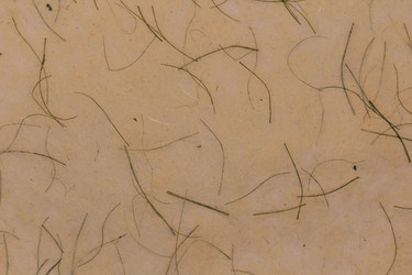 Similar image 2784038