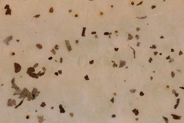 Similar image 2784039