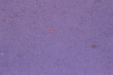 Similar image 2784052