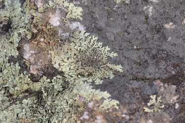 Similar image 2784060