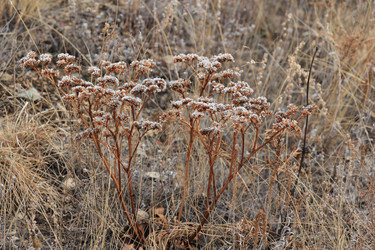 Similar image 2784062