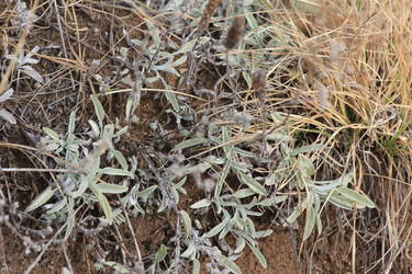 Similar image 2784063