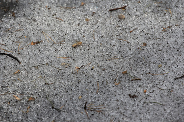 Similar image 2784064