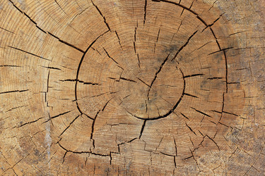 Similar image 2784065