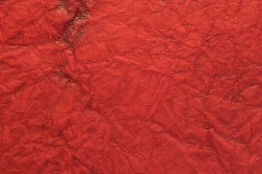 Similar image 2784068