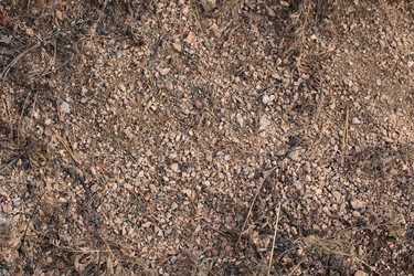 Similar image 2784070