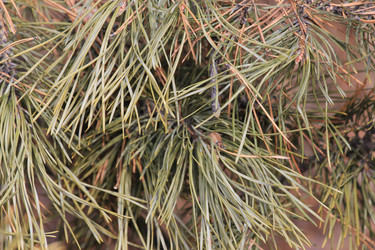 Similar image 2784079