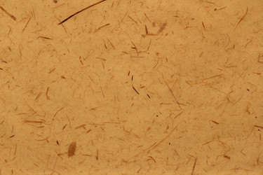 Similar image 2784093