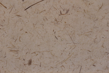 Similar image 2784094