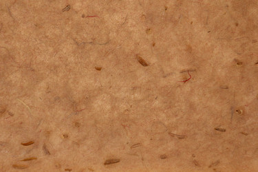 Similar image 2784108