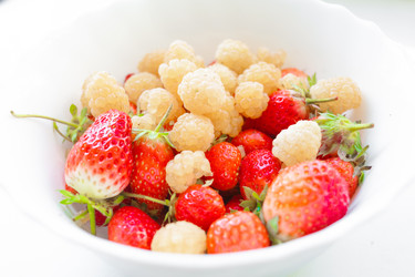 Similar image 2784416