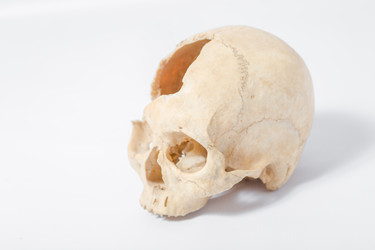 Similar image 2784418