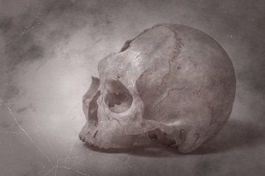 Similar image 2784471