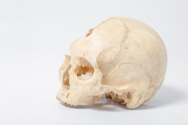 Similar image 2784472