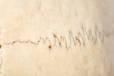 Similar image 2784473