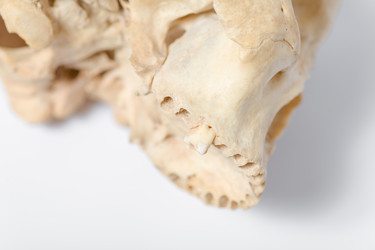 Similar image 2784474