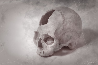 Similar image 2784478