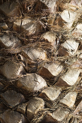 Similar image 2784948