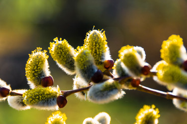 Similar image 2785218