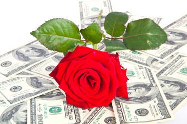 Similar image 2785341