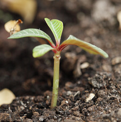 Similar image 2785353