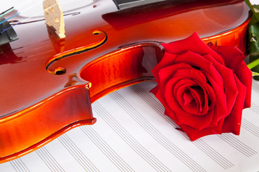 Similar image 2785360