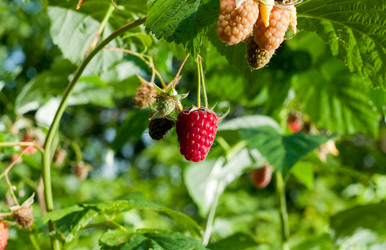 Similar image 2785426