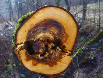 Similar image 2785545