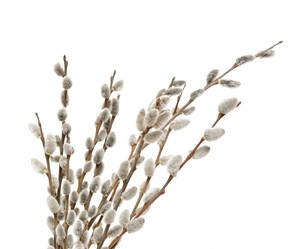 Similar image 2786164