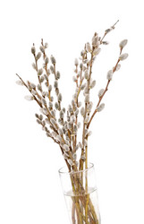 Similar image 2786171