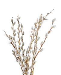 Similar image 2786172