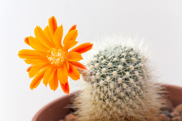 Similar image 2786342