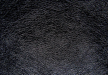 Similar image 2786354