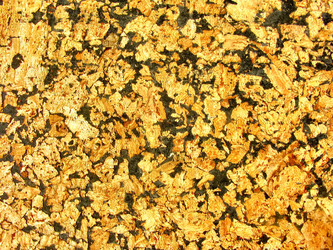 Similar image 2786356