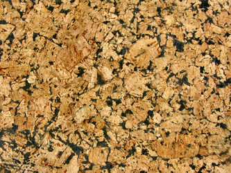 Similar image 2786402