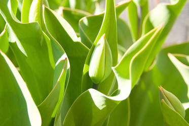 Similar image 2786761