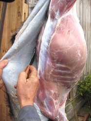 Similar image 2786781