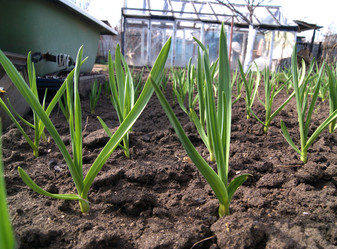 Similar image 2786783