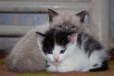 Similar image 2786919