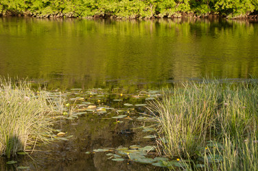 Similar image 2786948