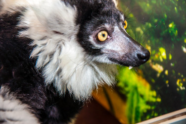 Similar image 2787102