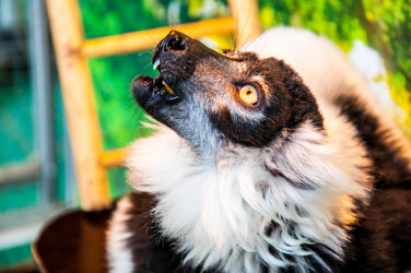 Similar image 2787103