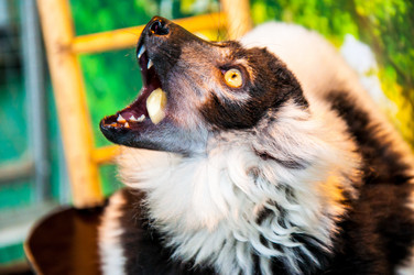 Similar image 2787104