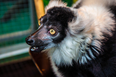 Similar image 2787108