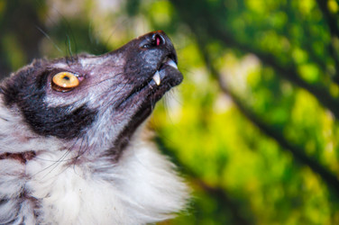 Similar image 2787115