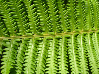 Similar image 2787147